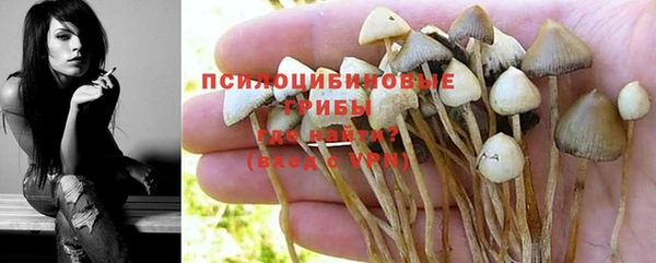 мяу мяу мука Туринск