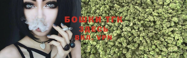 PSILOCYBIN Кострома