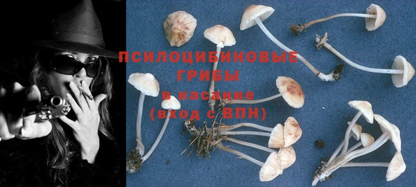 молекула духа Пыть-Ях