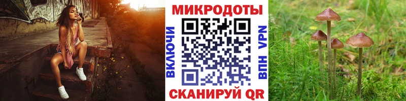 Галлюциногенные грибы Magic Shrooms Чайковский