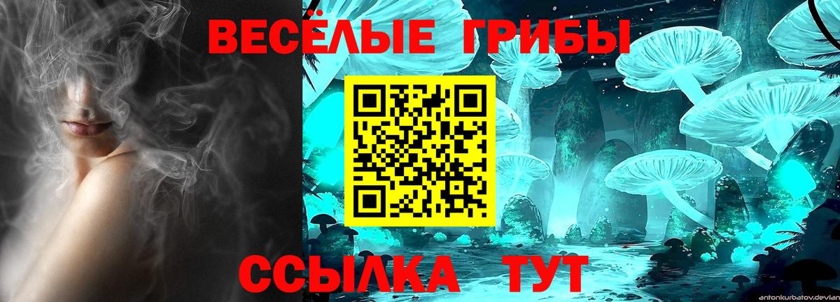 Псилоцибиновые грибы Cubensis Чайковский