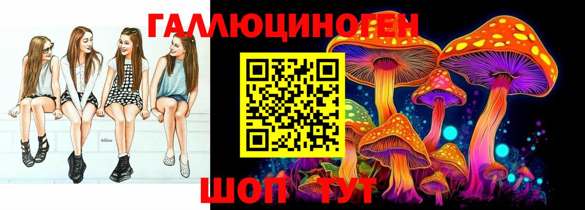 Чайковский  Псилоцибиновые грибы прущие грибы  Вход с VPN  Псилоцибиновые грибы Psilocybe 